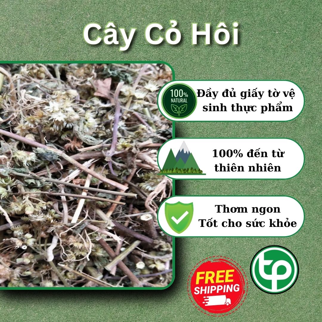 [New Arrivals] Dried Stinkweed Plant 500g (Fragrant, Clean) - Tan Phat Herbs