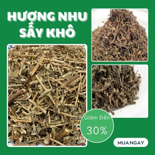 Hương nhu khô loại 1kg - Hàng công ty chất lượng cao - Hỗ trợ cải thiện giấc ngủ - Trà ngon và bổ dưỡng