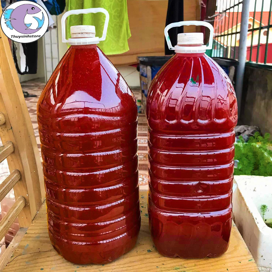 Vi sinh bể cá (5 lít) Men vi sinh  PSB+