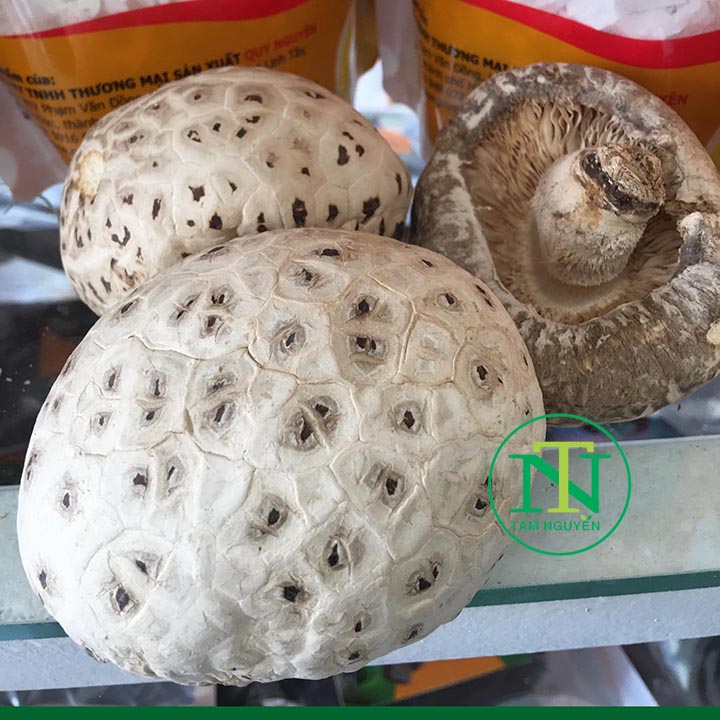 Nấm Đông Cô Nhật 500g