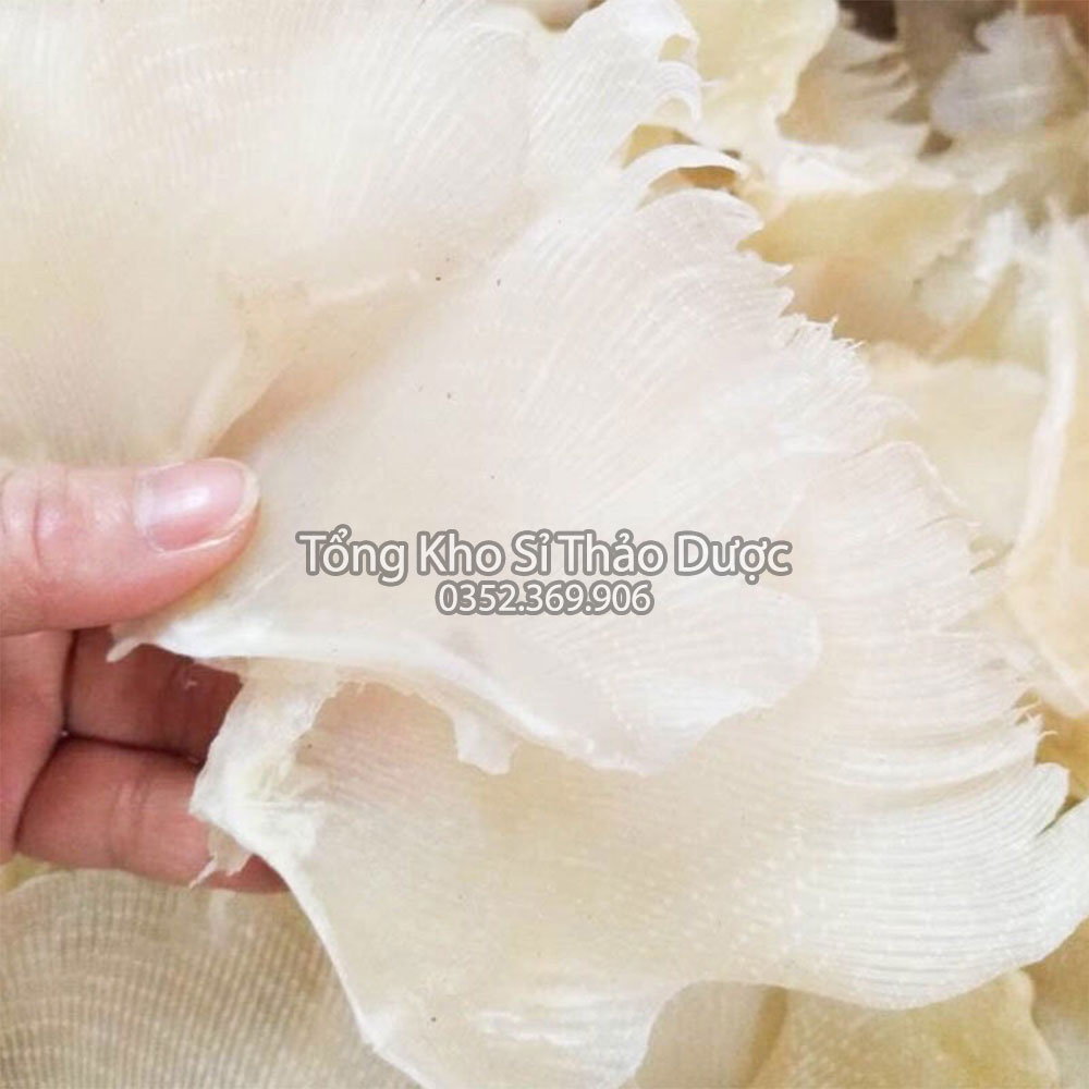 Vi cá mập nguyên miếng 100g (Tốt cho xương khớp, sáng mắt, nấu súp bào ngư)