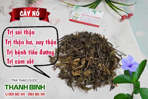 Cây Nổ 500g Loại Đặc Biệt - Hàng Công Ty