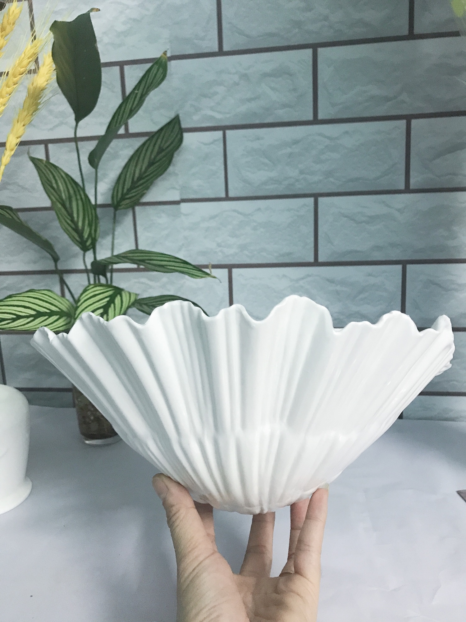 Chậu ốp tường hình vỏ sò