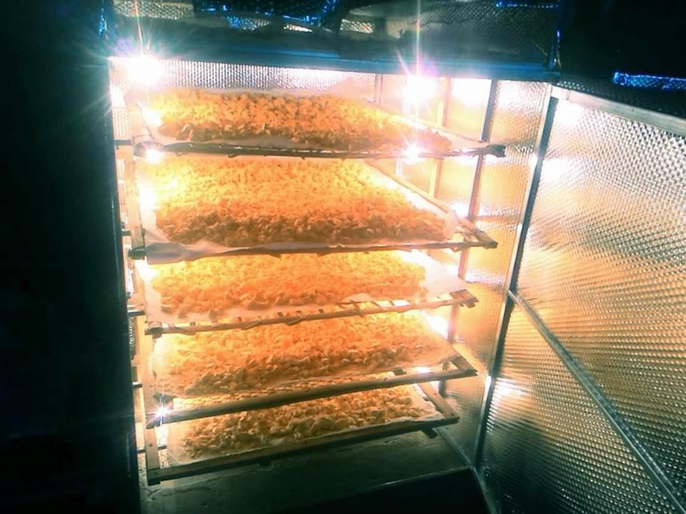 [HCM]Tinh bột nghệ nguyên chất - Nghệ đỏ cao cấp( gói 100gam)