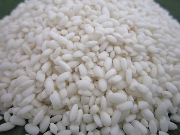 [HCM]Gạo nếp Bắc ( Nếp cái hoa vàng) - 1kg