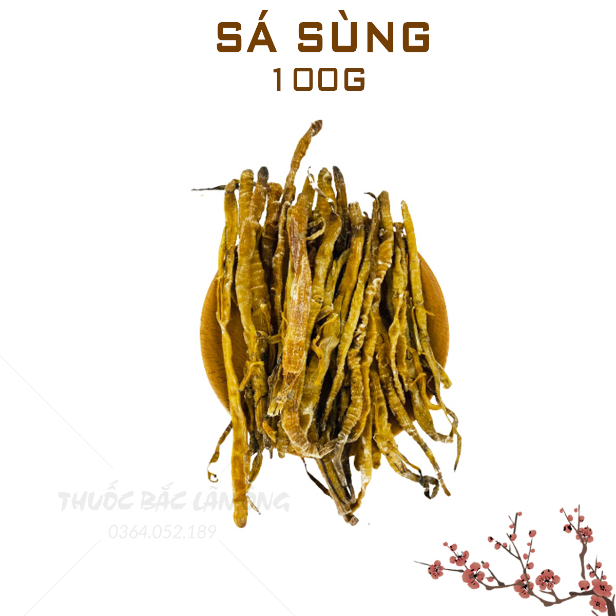 Sá sùng quảng ninh 100g - Thuốc bắc lãn ông