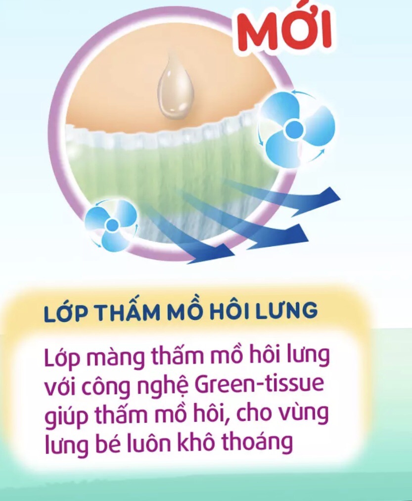 Tả quần bobby mới