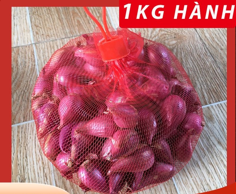 Tỏi củ to  (0,5kg loại ngon) + hành tím (0,5kg loại ngon) - combo