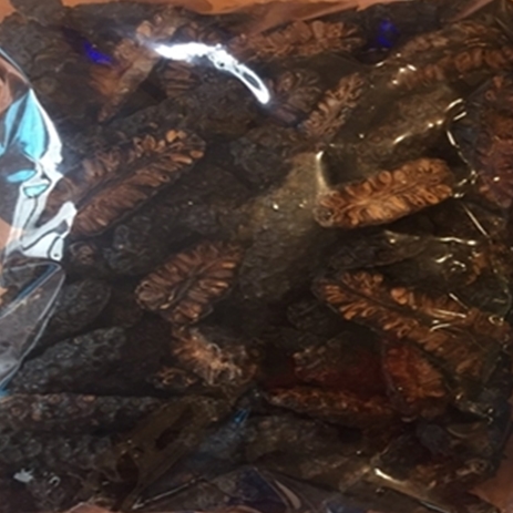 Dried noni fruit for/ herbal tea/ noni tea