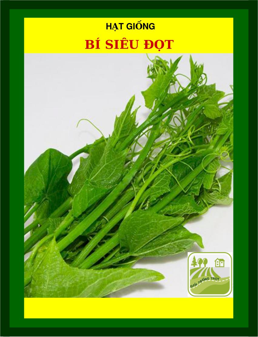 5Gram Hạt Giống Bí Siêu Đọt