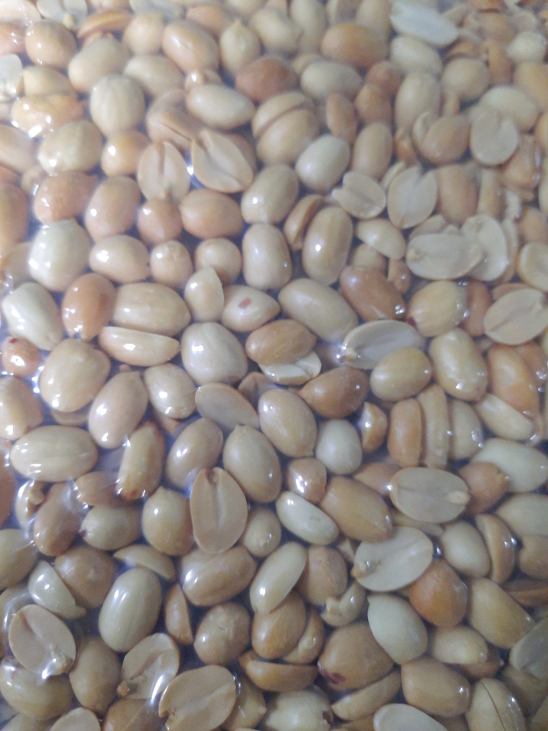 Đậu phộng (lạc) rang bóc vỏ - 1kg loại ngon