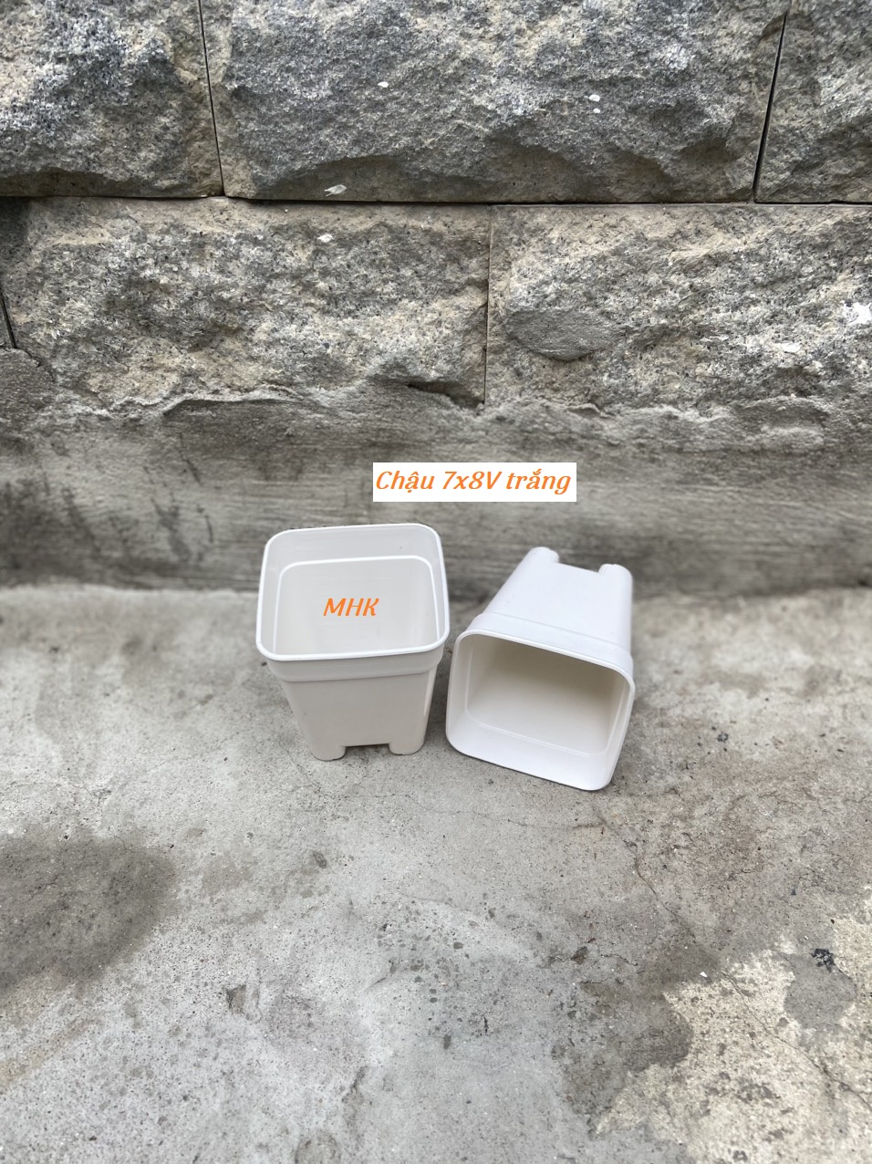 Chậu nhựa cứng 7x8 Vuông , chậu vuông mini , chậu ươm hạt , xương rồng , sen đá !