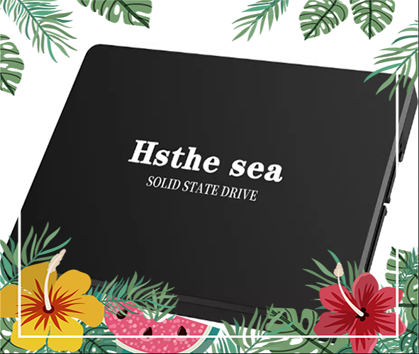 Ổ Cứng SSD Hsthesea 120GB - 240 G