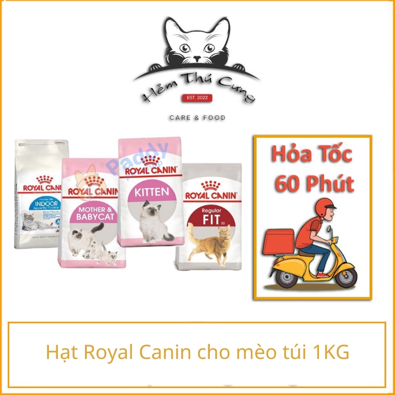 [1kg] Hạt Royal Canin Indoor, Kitten, Fit cho Mèo
