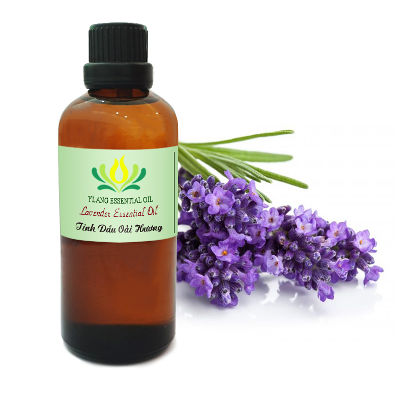 Tinh dầu Oải Hương (Lavender) - 10ml, 50ml, 100ml
