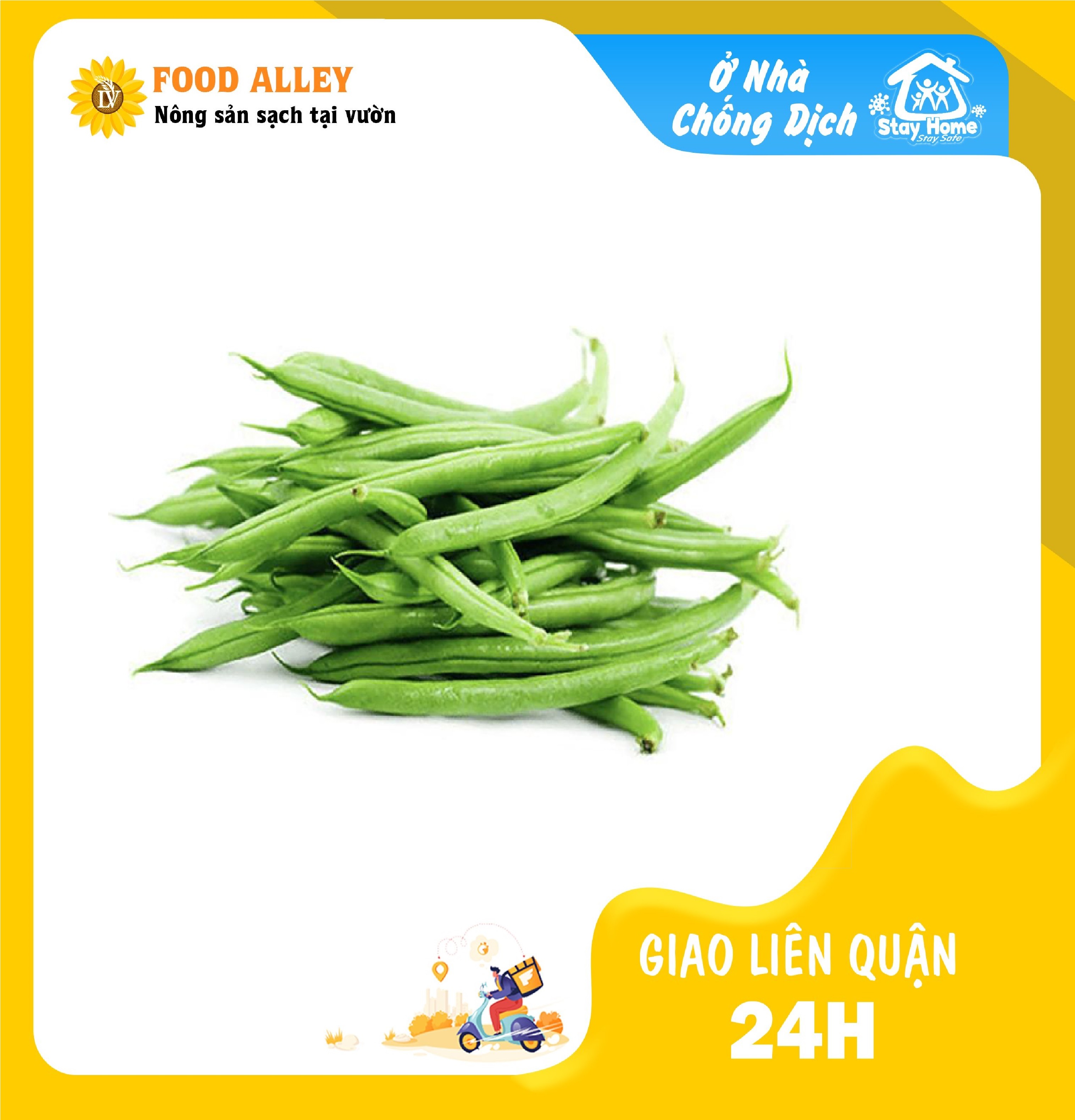 [CHỈ GIAO HCM] ĐẬU CÔ VE ĐÀ LẠT