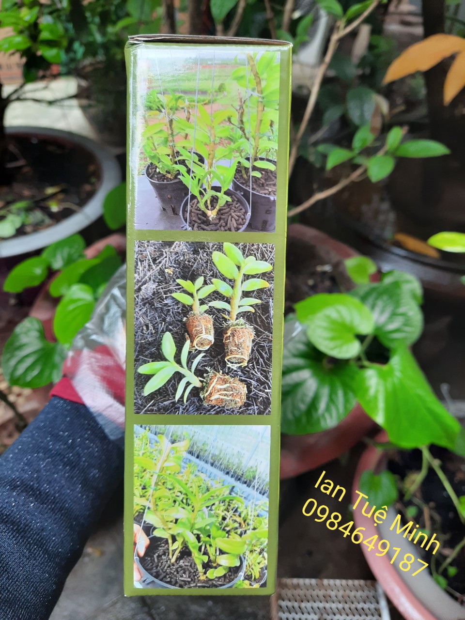 VIÊN NÉN DINH DƯỠNG HỮU CƠ BEN-01 HÙNG NGUYỄN GÓI 1KG HÀNG CHÍNH HÃNG