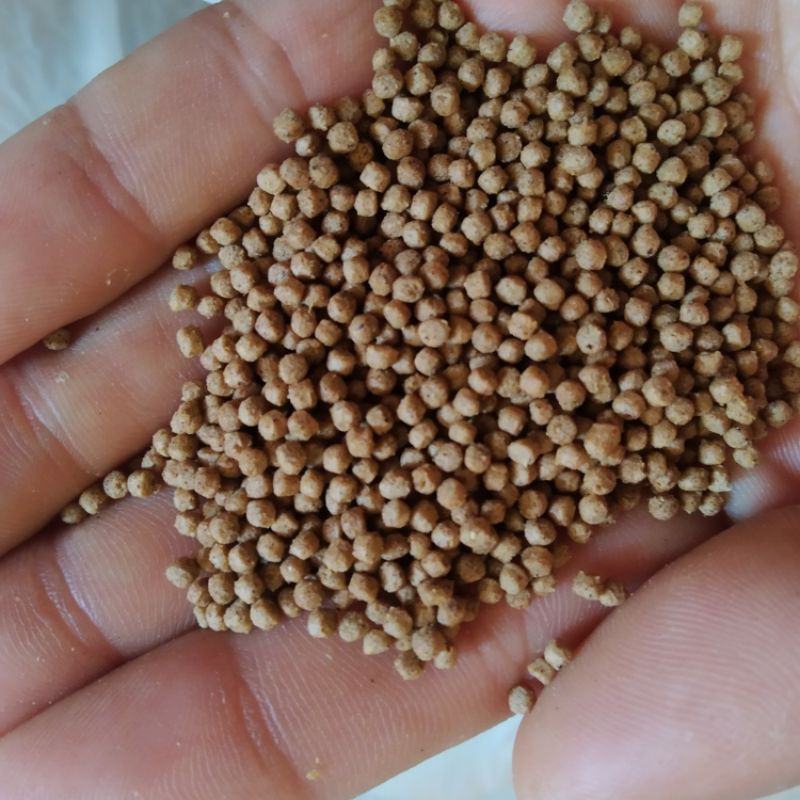 1kg Cám cá American feeds, siêu đạm dành cho cá Koi, cá vàng