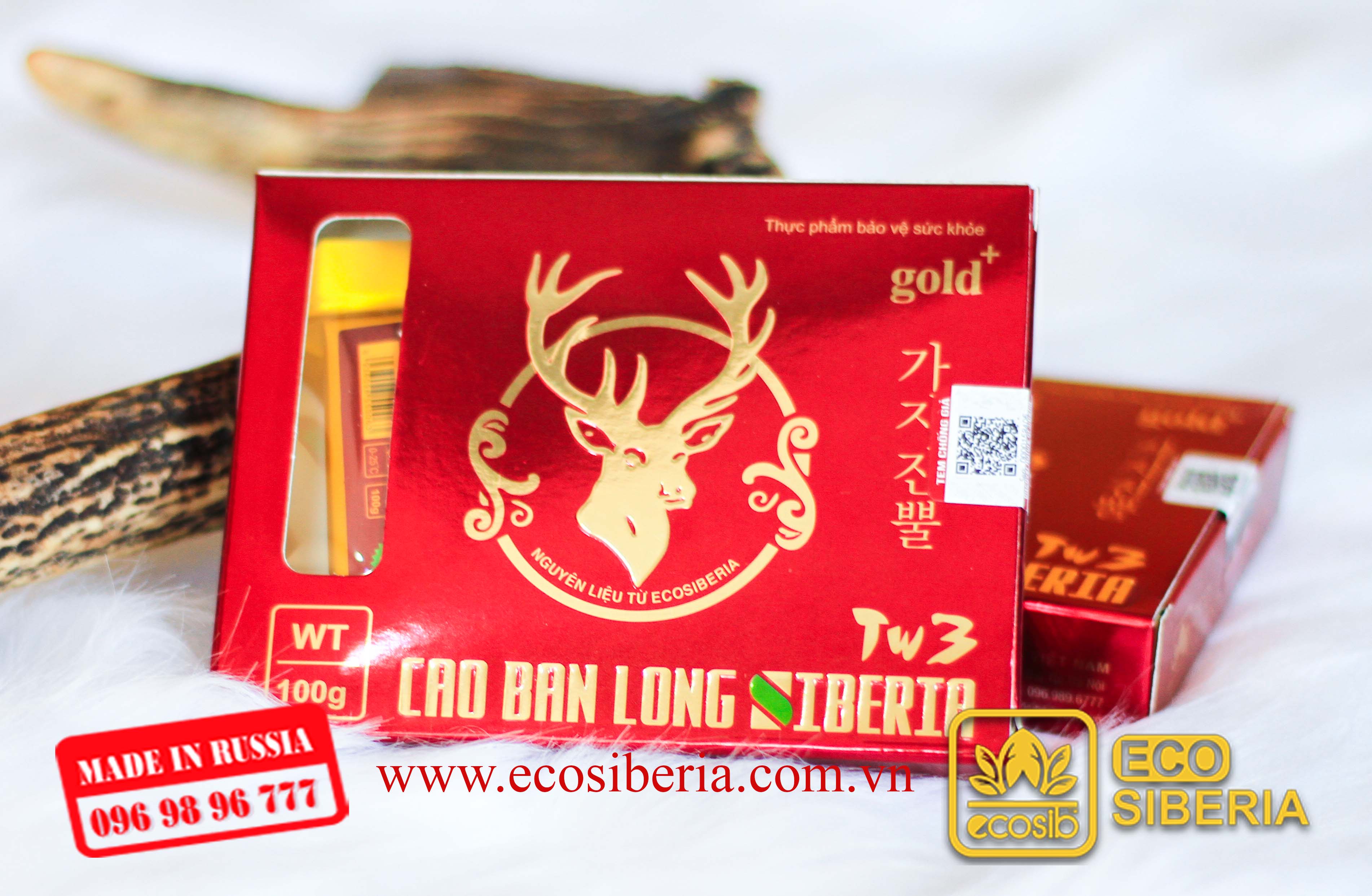 CAO BAN LONG SIBERIA - TW3