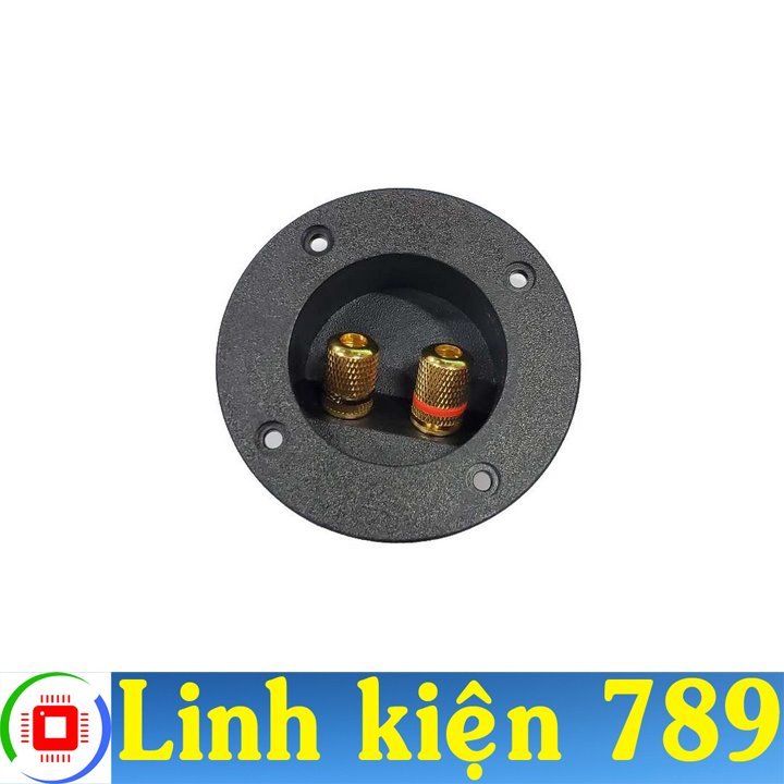 Trạm loa tròn V2 - Linh Kiện 789