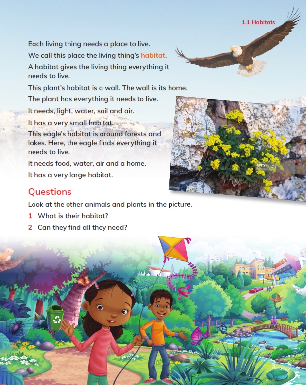 Cambridge Global English, Primary science, Primary mathematics second edition stage 2