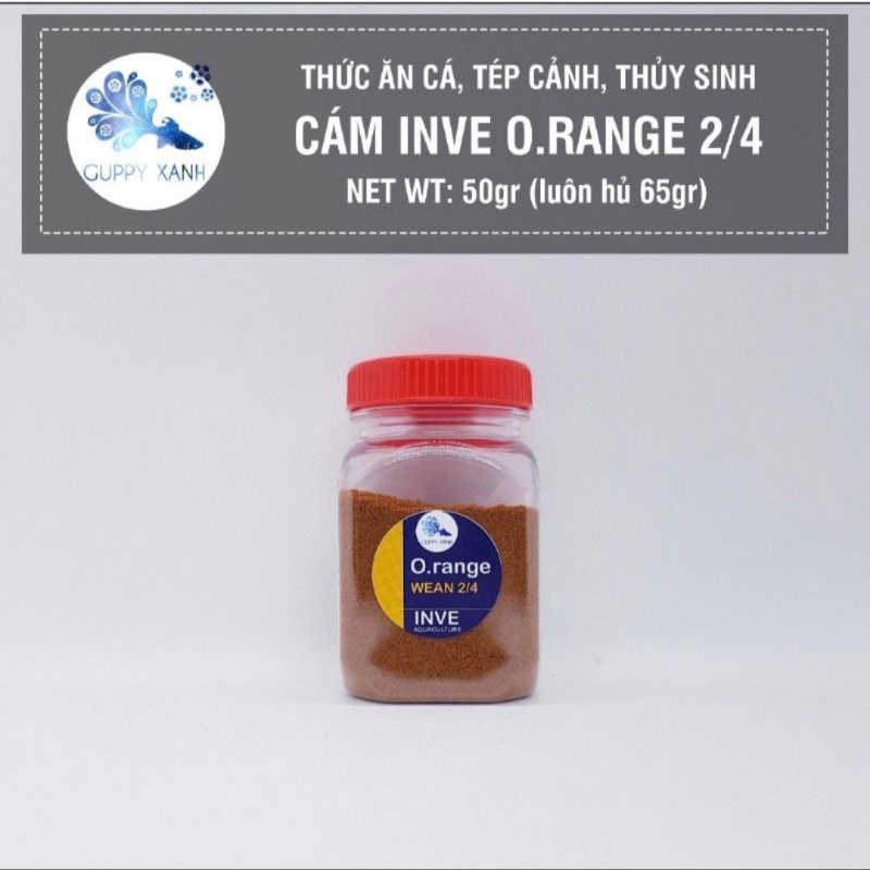 50gr cám thái inve 3/5 | thức ăn cao cấp cho cá guppy, betta guppy xanh