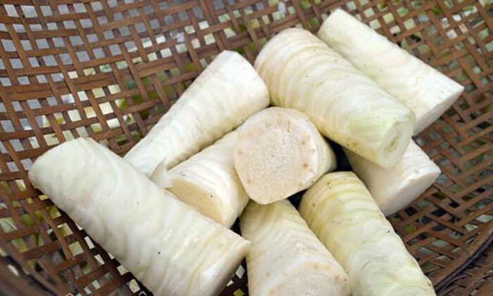 [HCM]Củ Hủ Dừa Chua Ngọt Tỷ Đệ - 500g