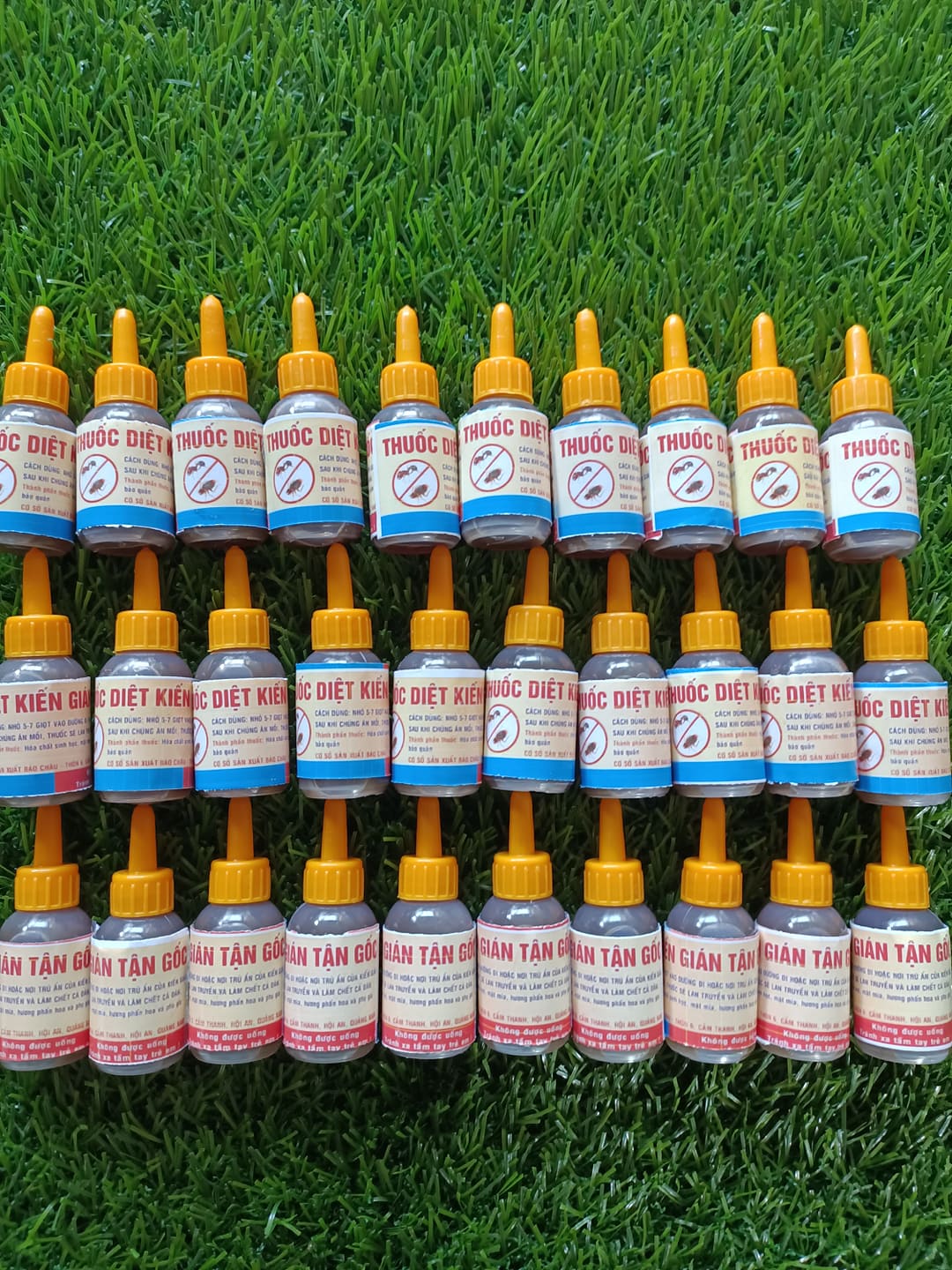 10 lọ thuốc diệt kiến gián tận gốc sinh học