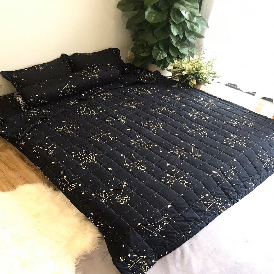 Sét 5 món chăn hè ga gối kèm vỏ gối ôm cỡ ga m2/m4/m6/m8/2m2 nhiều mẫu lựa chọn