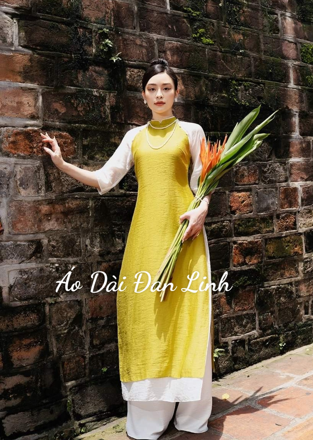Áo dài cách tân áo dài tết siêu xinh 2023