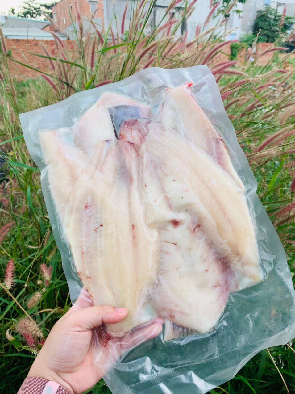 [GIAO NHANH 2H HCM] Giá Sỉ 1Kg Cá Dứa Xịn (2con/1Kg)