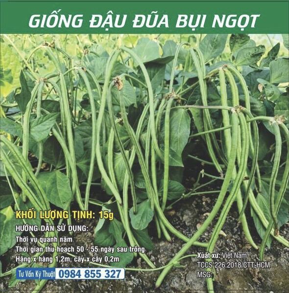 Giống Đậu đũa bụi ngọt