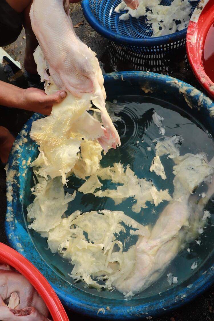 SÁP LÀM LÔNG NGAN-VỊT-GÀ TÚI 2KG
