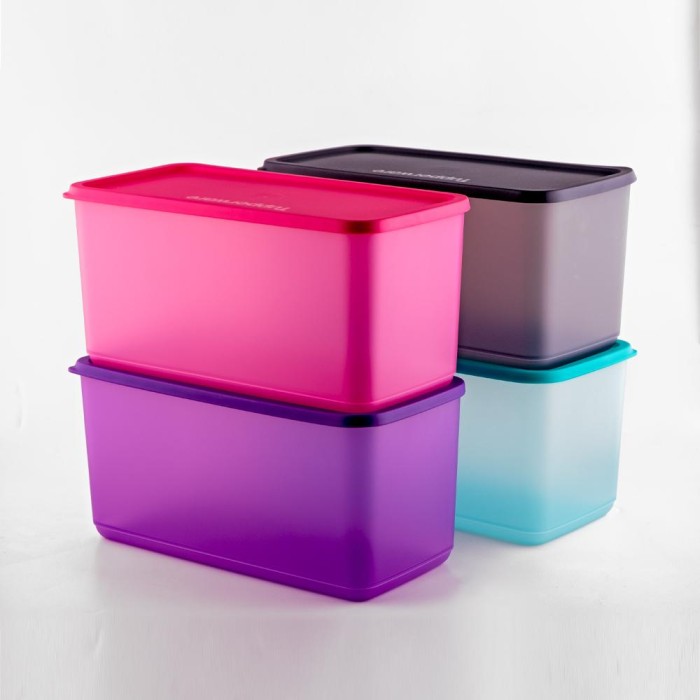 Bộ Hộp Tupperware Bảo Quản Thực Phẩm Funtastic Four (4 Hộp)
