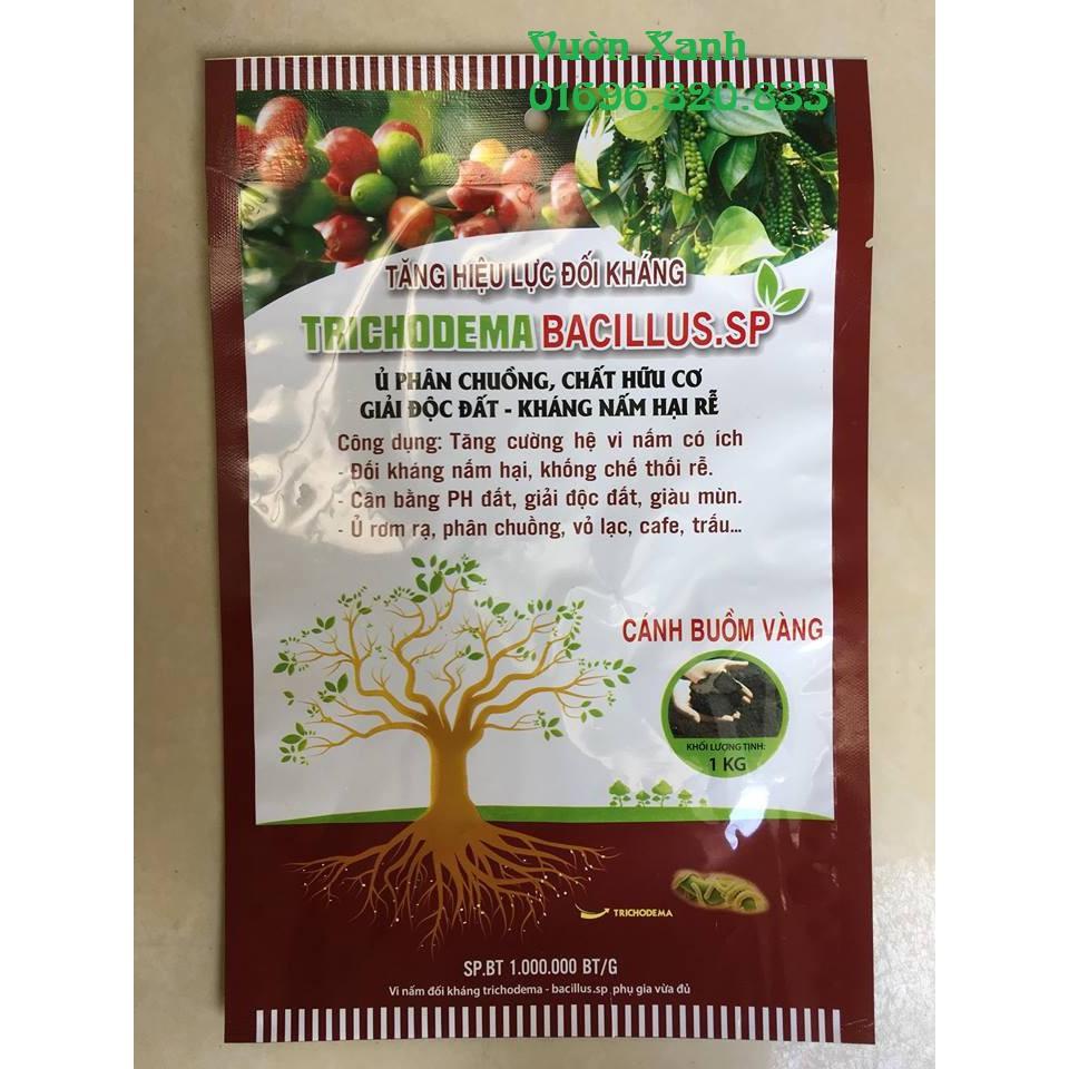 Chế phẩm nấm trichodema bacillus.sp