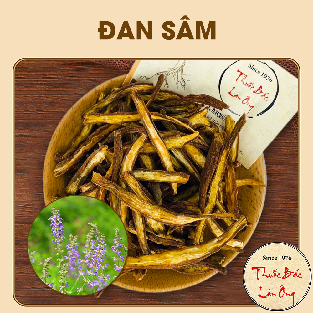 Đan Sâm 100g (Hàng Thái Lát, Khô, Thơm) - Đơn Sâm