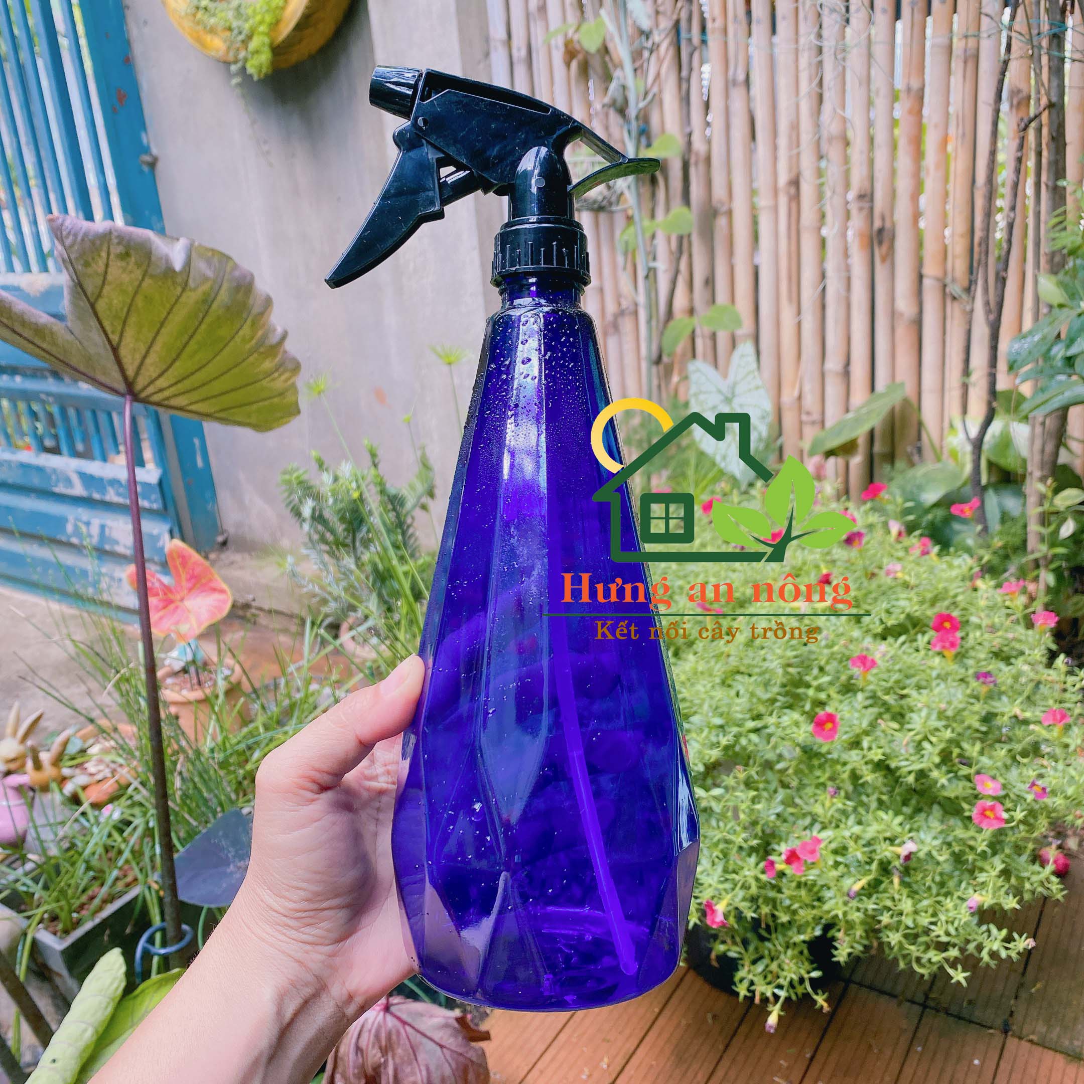 BXT800C - Bình nhựa trong phun xịt vòi mịn tưới cây chăm sóc cây trong vườn bình 800ml