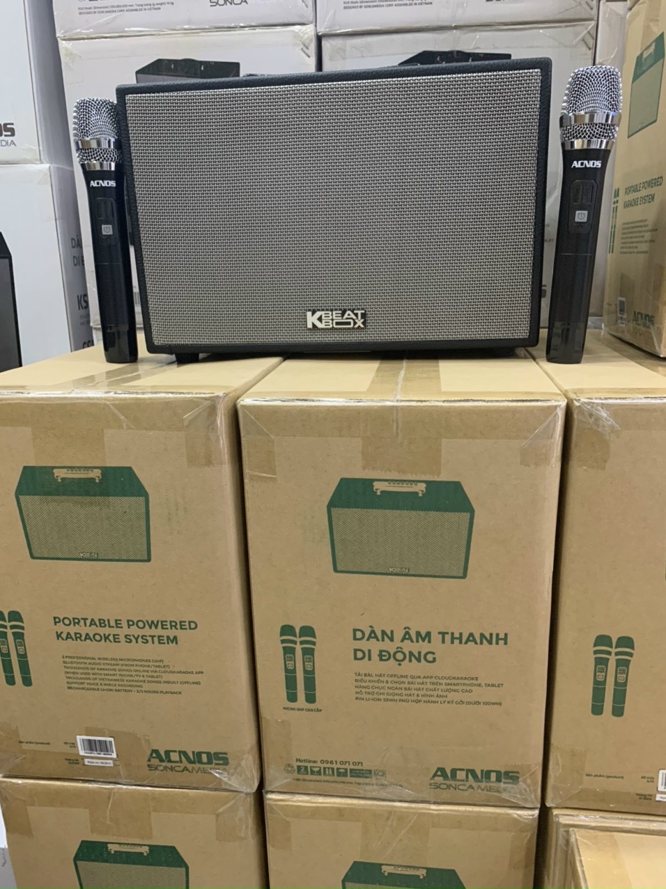 [HCM]LOA KÉO ACNOS CS200
