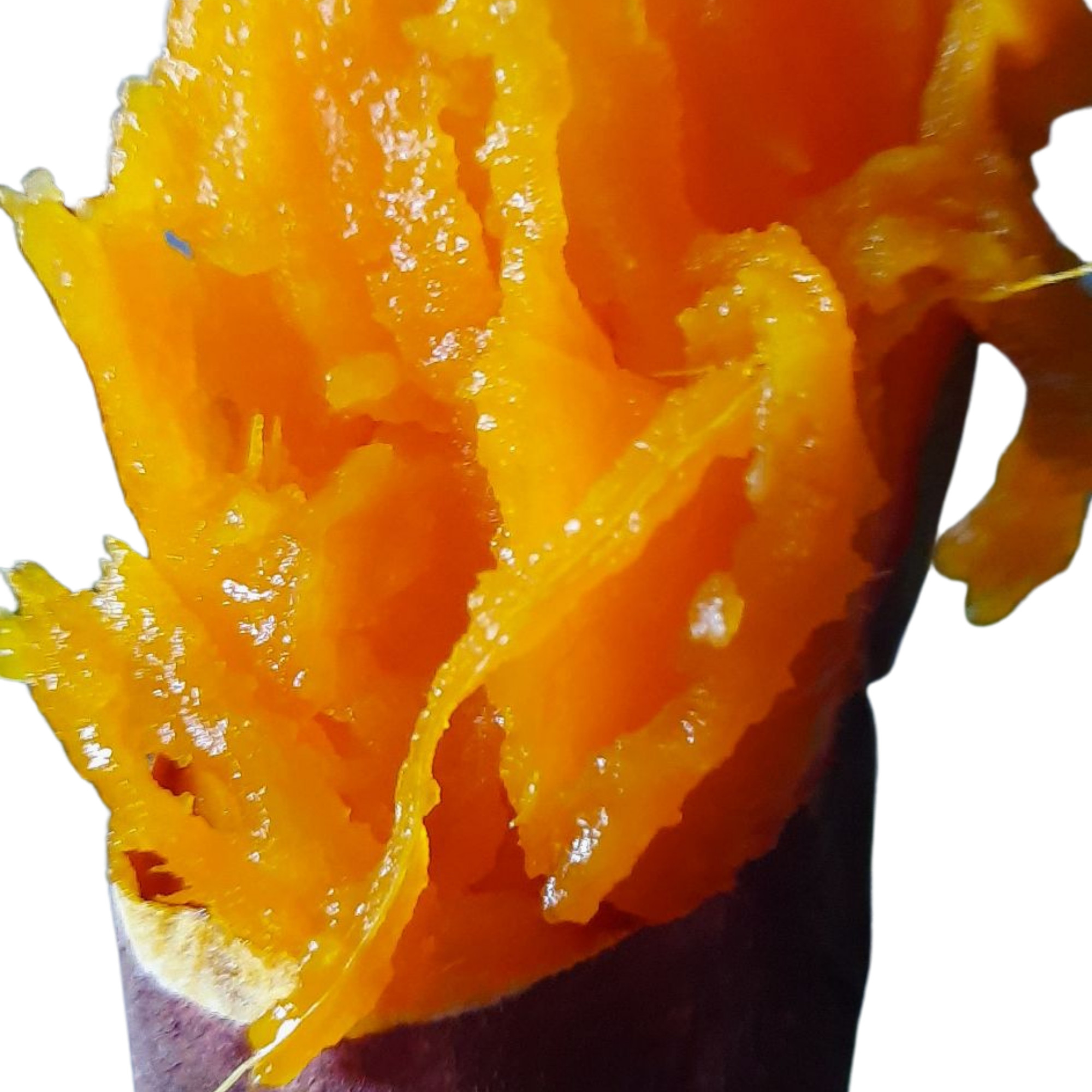 2 KÝ KHOAI LANG MậT LOAI TRUNG(8-10Củ 1 KÝ)- SAM LÊ SHOP