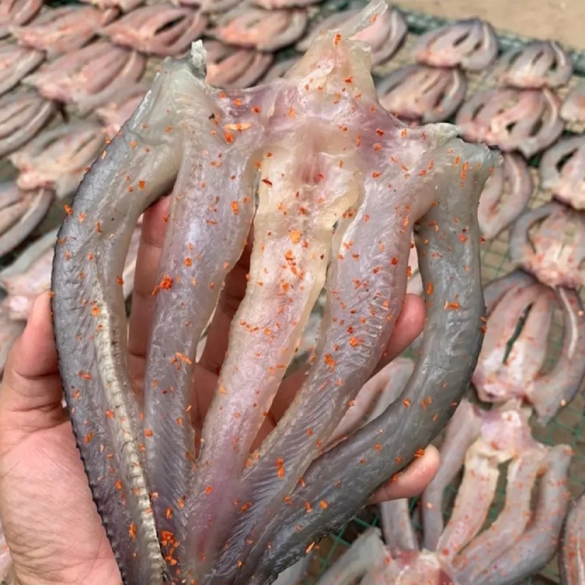 Khô cá lóc đồng 1kg sky food house khô cá lóc rút xương đặc sản miền tây làm quà