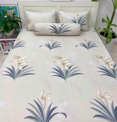 Drap Lụa Tencel 5 Món + Mền