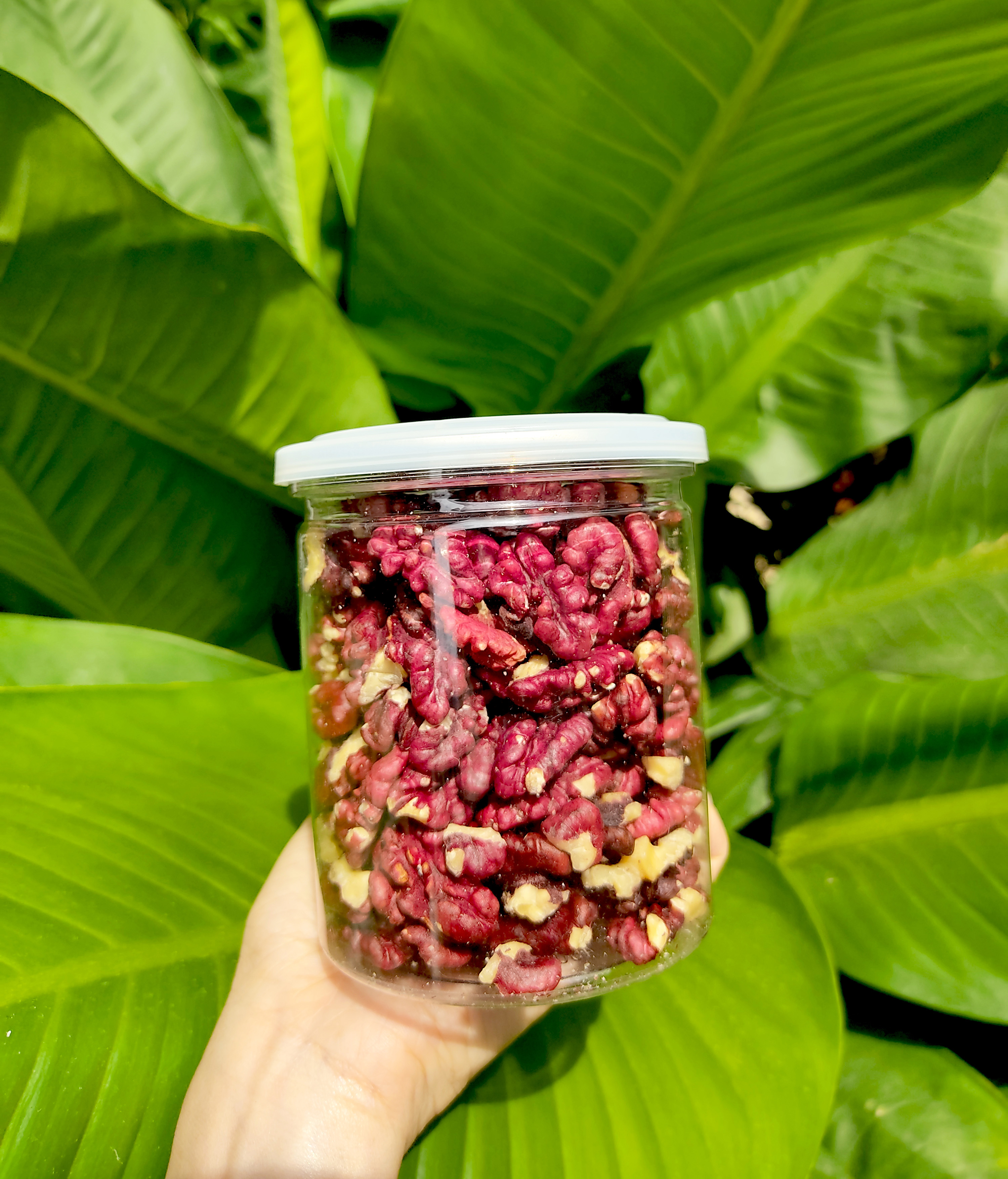Nhân Óc Chó Đỏ - Hạt Óc Chó Đỏ Tách Vỏ