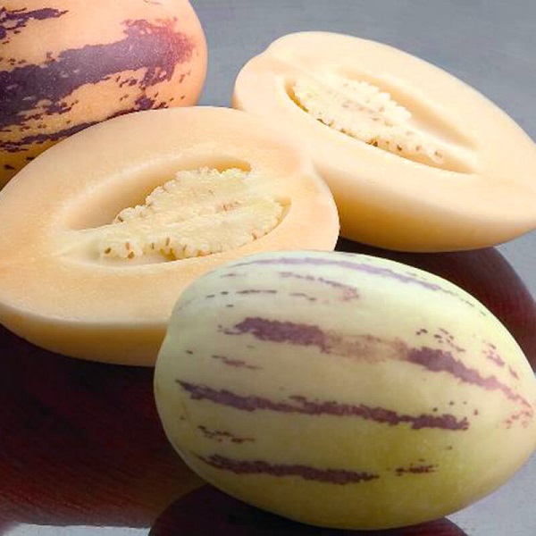 Hạt giống dưa pepino ( tặng phân bón kích mầm ).