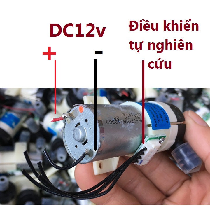 [HCM]Máy sục khí oxy 12v