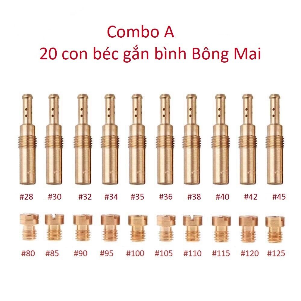 Combo A gồm 20 con : Béc Bông mai / Giclo Bông Mai ( Thông số như hình )