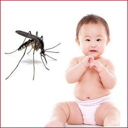 Tinh Dầu Đuổi Côn Trùng Hana