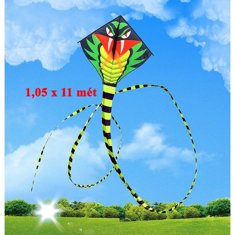 Diều rắn đuôi dài 11m