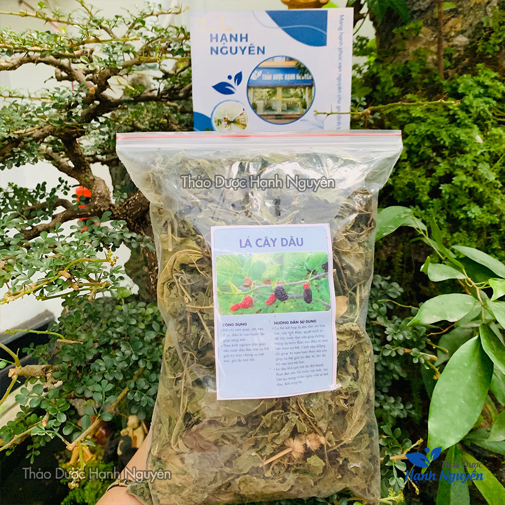 Dried Mulberry Leaves 500g (Tang Diệp)