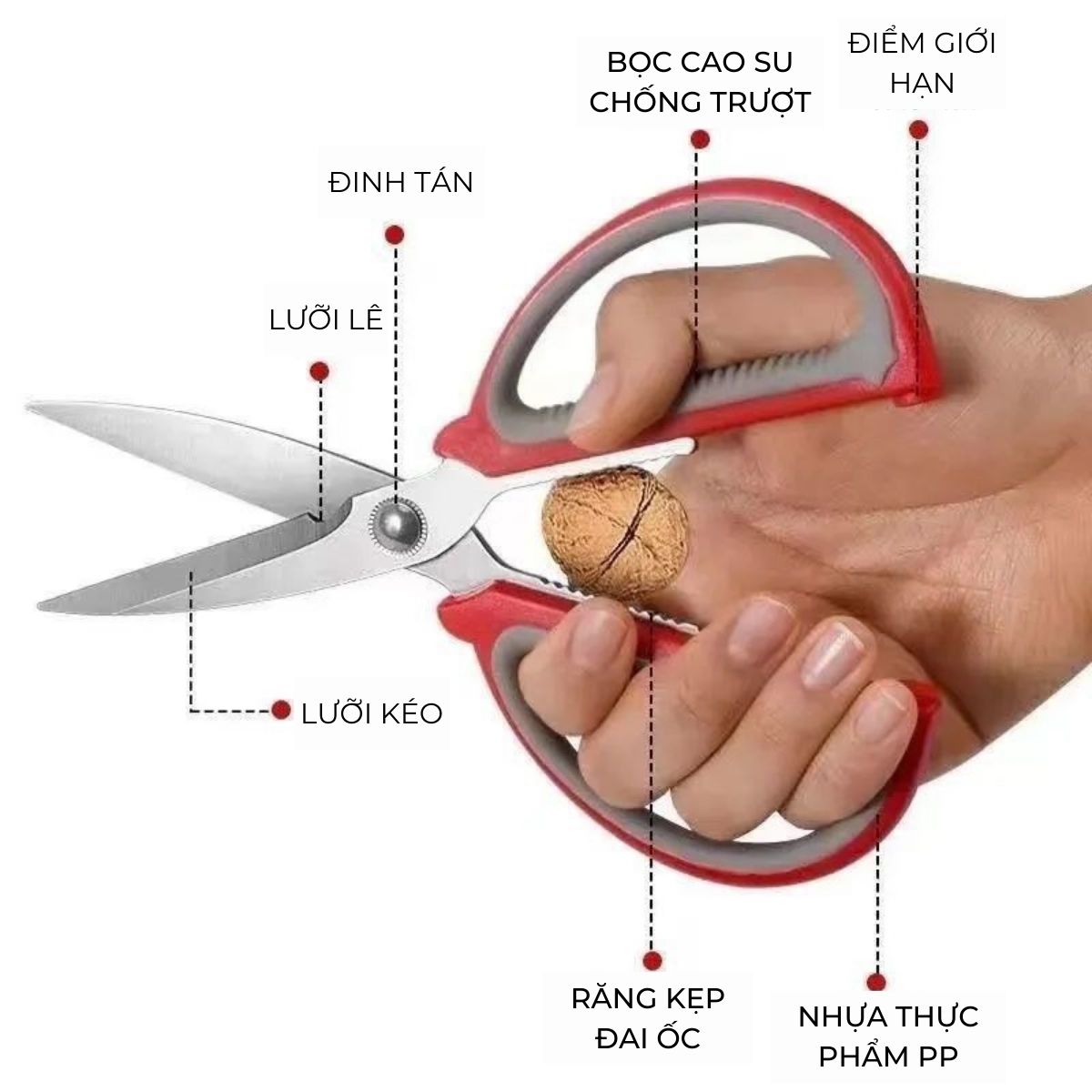 Kéo bếp đa năng inox, kéo làm bếp cán nhựa cao cấp siêu bền, Cắt rau chế biên hải sản chất liệu thép không rỉ