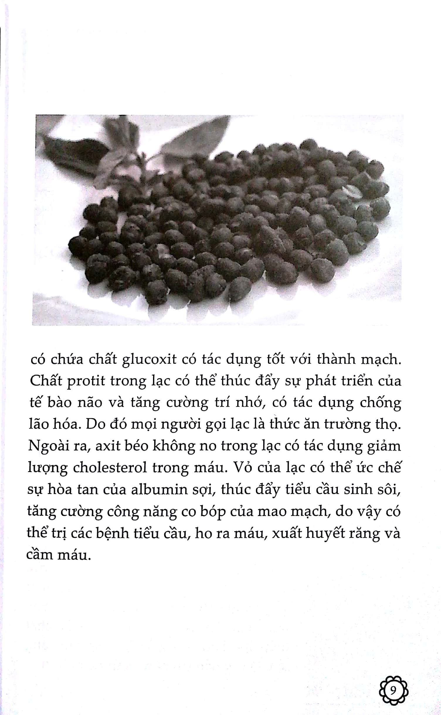 Fahasa - 10 Vạn Câu Hỏi Vì Sao? - Thực Vật (Tái Bản)